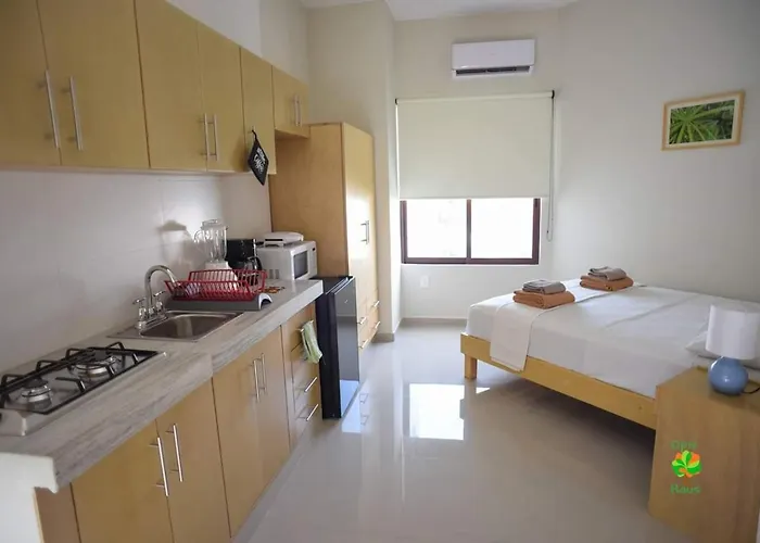 Opis Haus Apartment *
