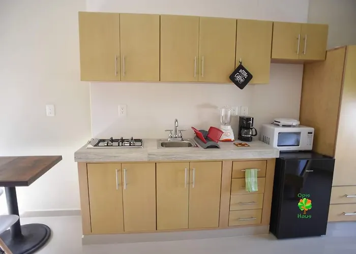 Opis Haus Apartment