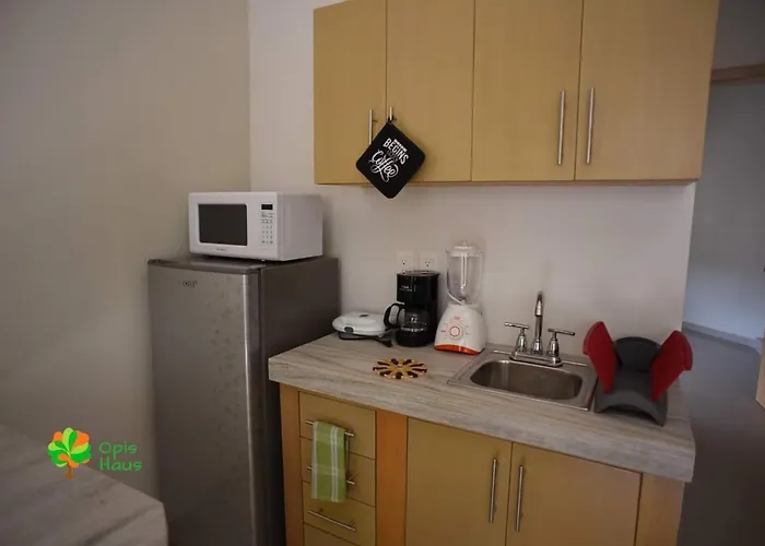 Opis Haus Apartment