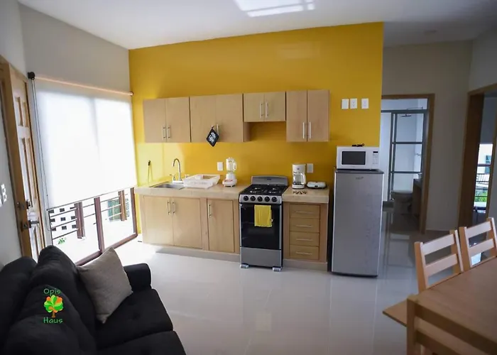 Apartment Opis Haus